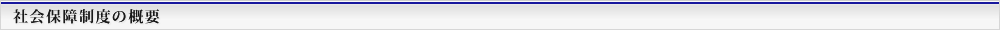 社会保障制度概要