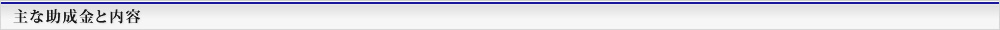 主な助成金と内容